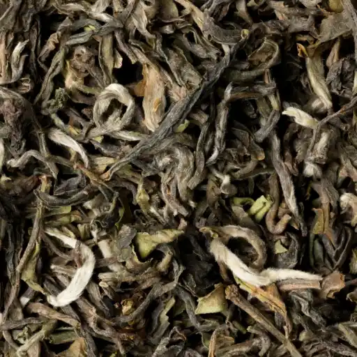 Darjeeling Lingia - First Flush 2026 FTGFOP1