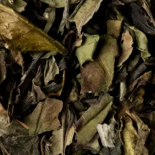 Pai Mu Tan Kiina Organic