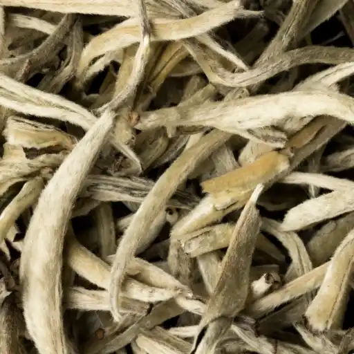 Silver Needle. Valkoinen tee Kiinasta.